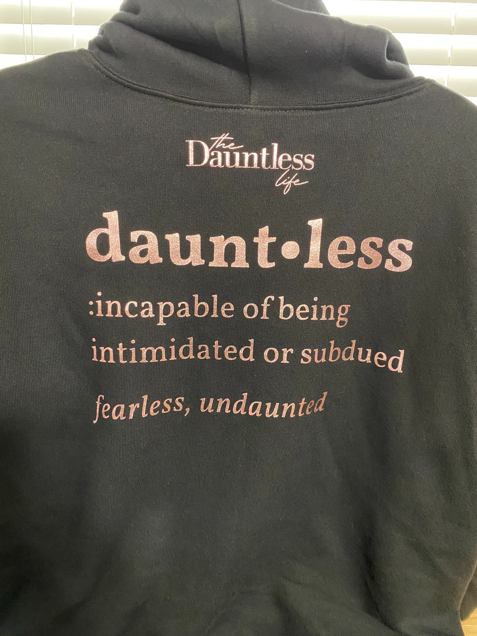 I Am Dauntless Hooded Sweatshirt